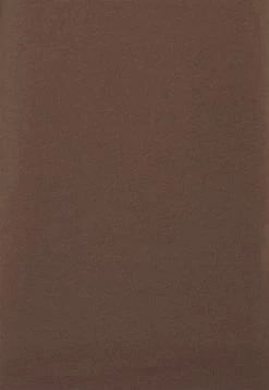 DRYKORN QUENTIN - Basic T-shirt - Braun -Trend Code Shop a4df207a29a64be09fdcc04c7bbb23c5