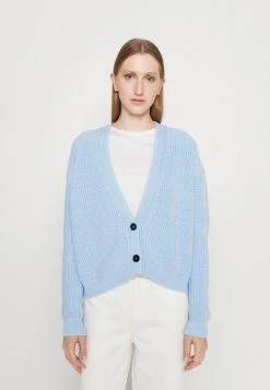 DRYKORN SONTJE - Cardigan - Blue
